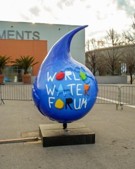 Forum Mondial de l'Eau 2012