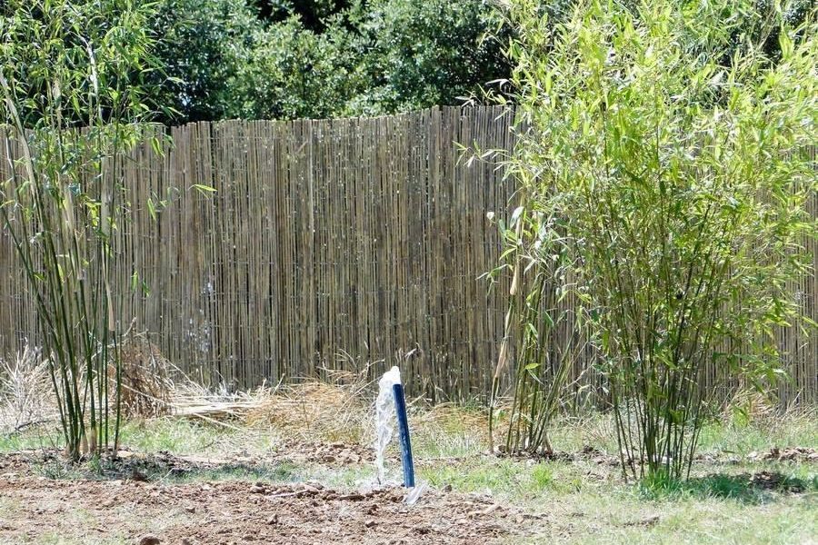 Traitement des eaux usées des éléphants Baby et Népal